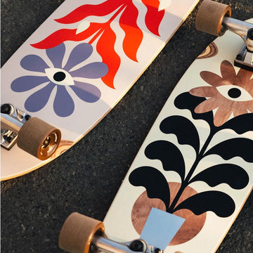 Cruiser skateboard old school con ruote morbide da city cruising