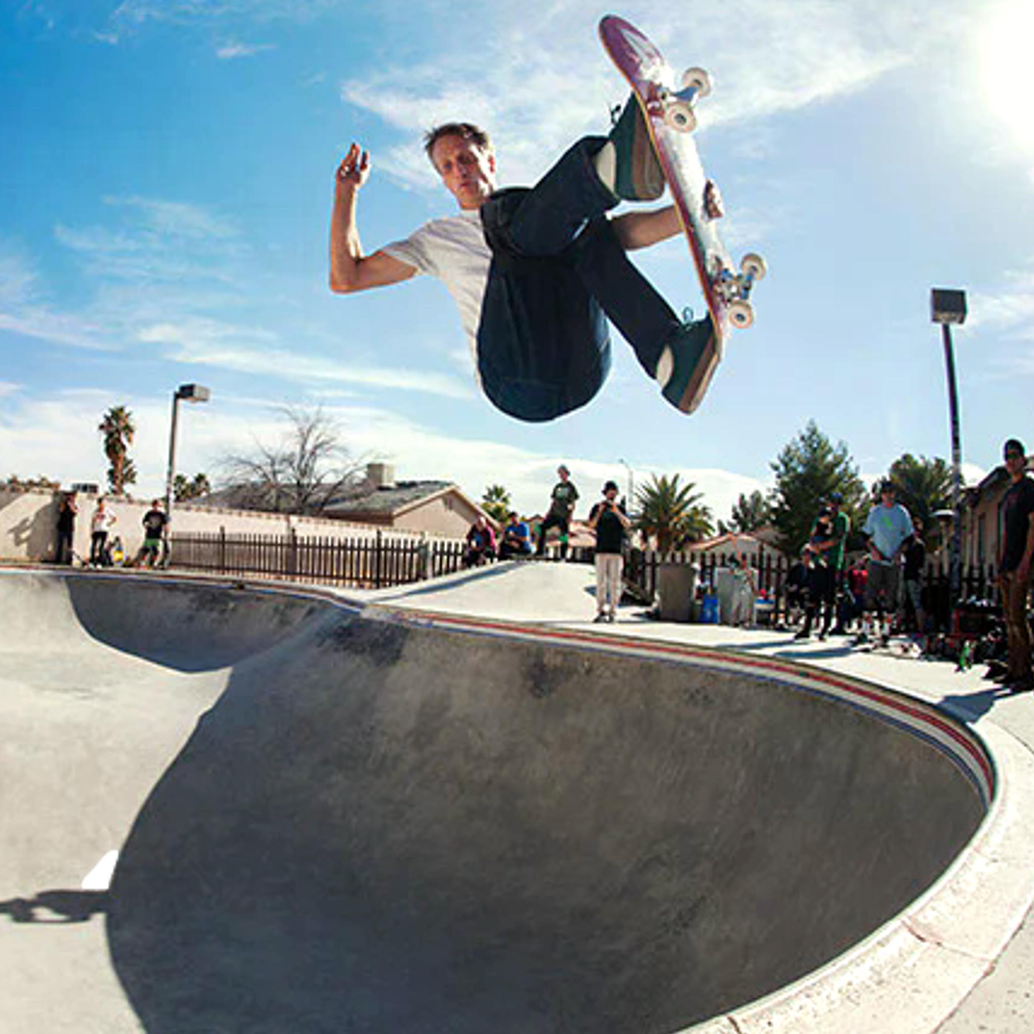 Birdhouse Skateboards