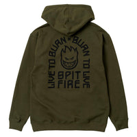 Spitfire LTB Arch Emb Zip Hoodie Olive